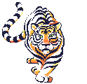 .tigre.